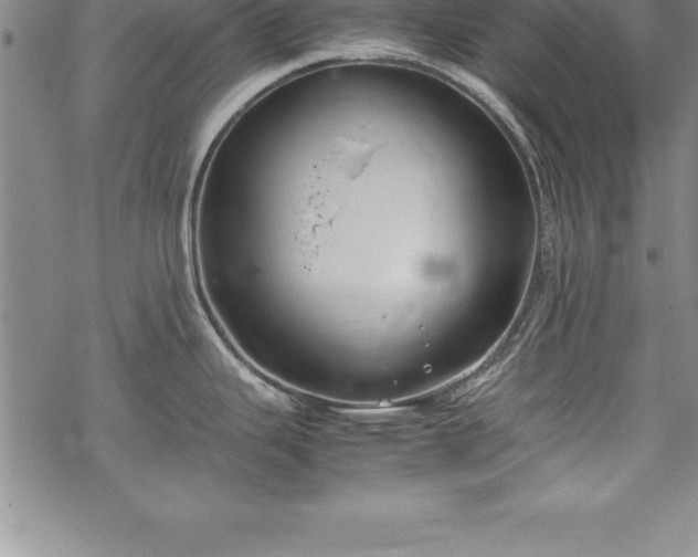 X0000069391343200605150933