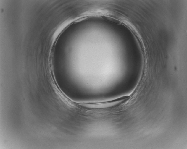 X0000069391344200605150933