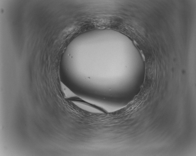 X0000069391345200605150933