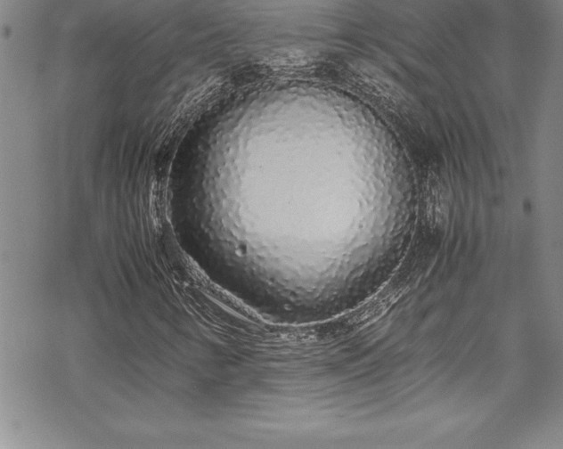 X0000069391346200605150933