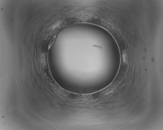 X0000069391347200605150933