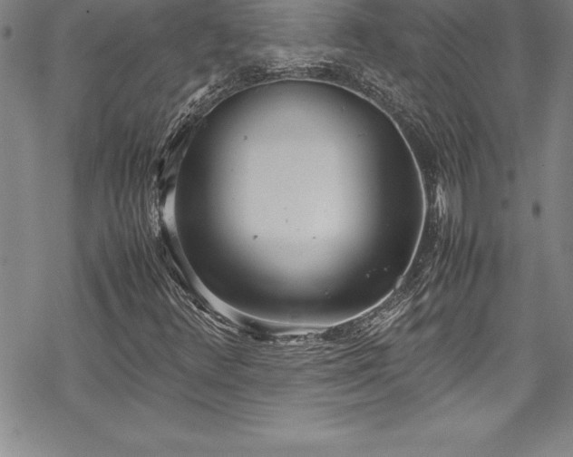 X0000069391348200605150932