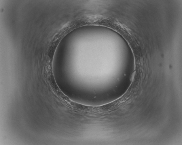 X0000069391349200605150932