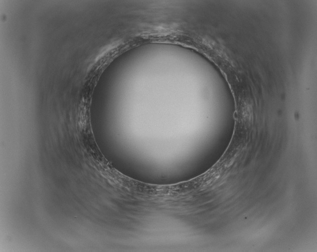 X0000069391350200605150932