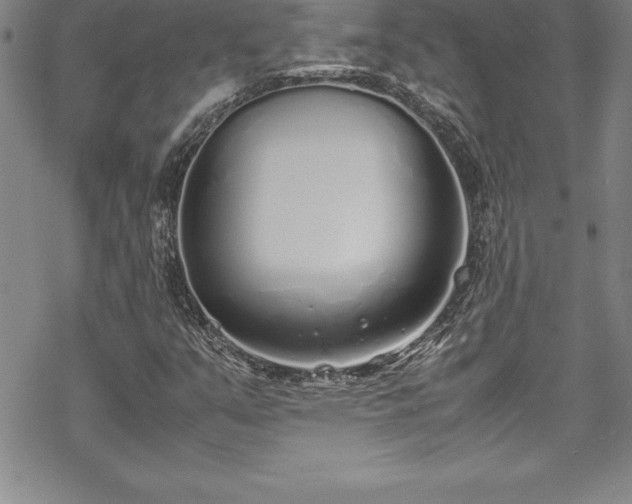 X0000069391351200605150932