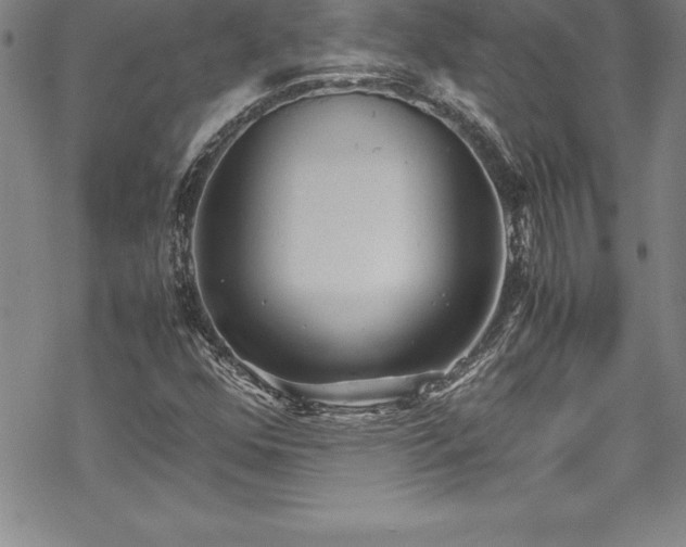 X0000069391352200605150932