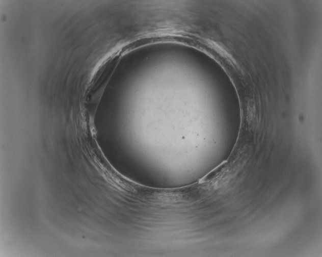 X0000069391356200605150932