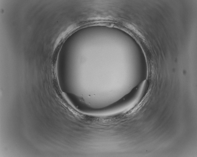 X0000069391357200605150932