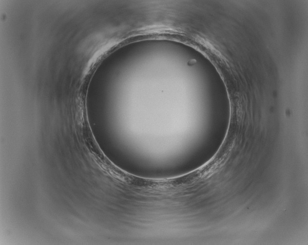 X0000069391358200605150932