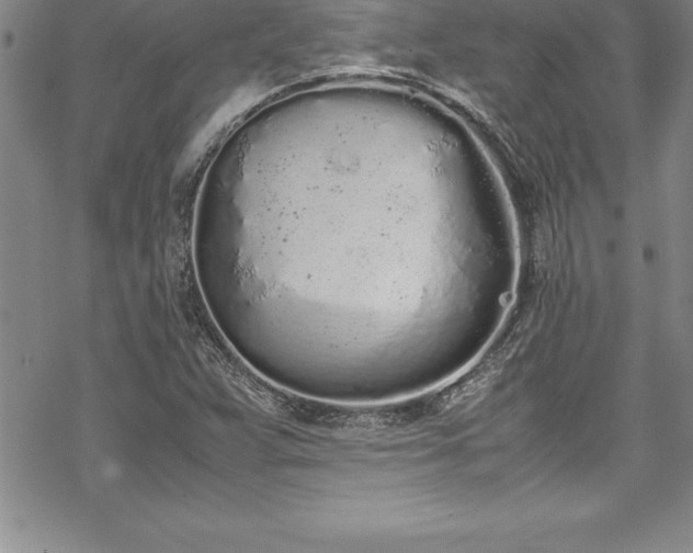 X0000069391359200605150932