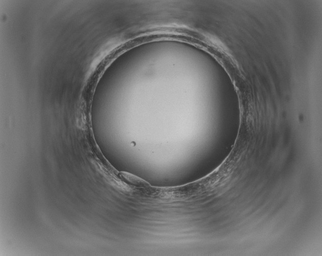 X0000069391360200605150932