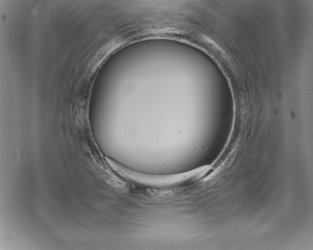 X0000069391361200605150932