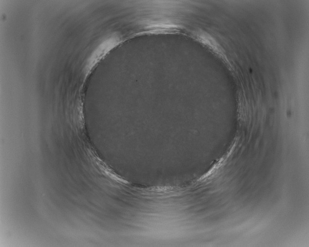 X0000069391362200605150932