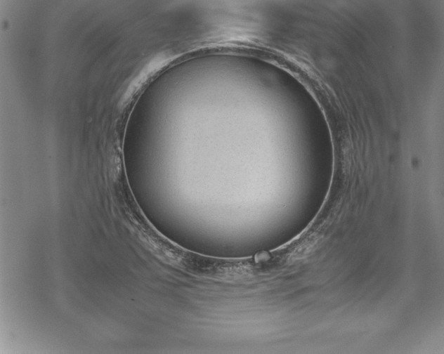 X0000069391363200605150932