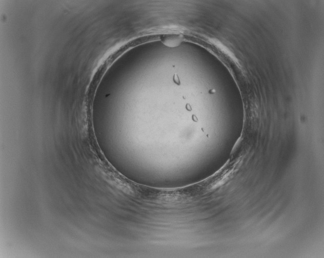 X0000069391364200605150932