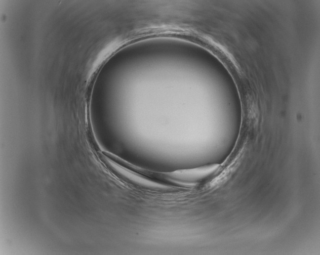 X0000069391365200605150932