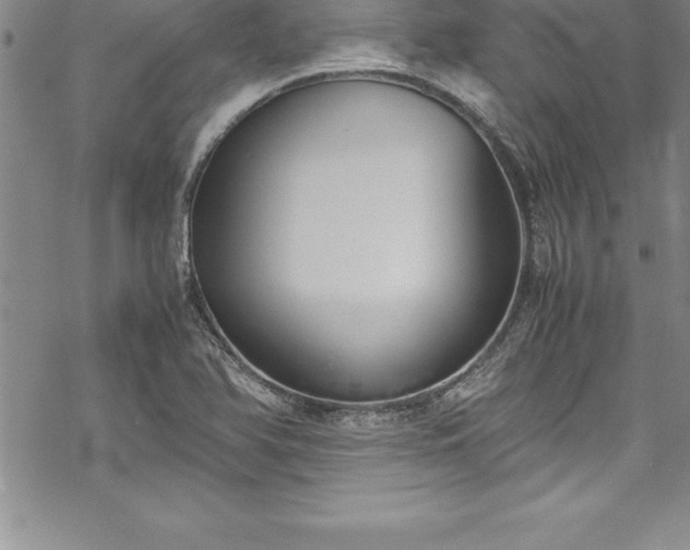 X0000069391366200605150932