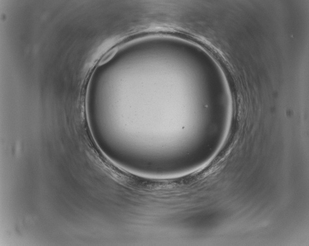 X0000069391367200605150932