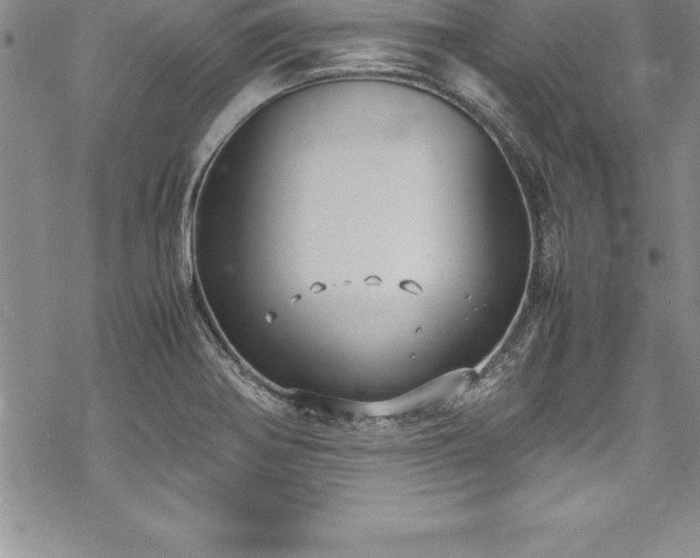 X0000069391370200605150932