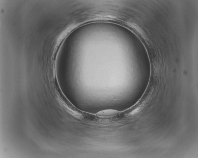 X0000069391371200605150932