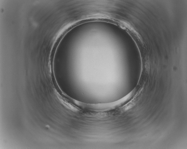 X0000069391372200605150932