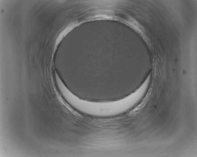 X0000069391373200605150932