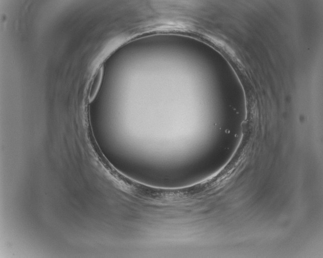 X0000069391375200605150932