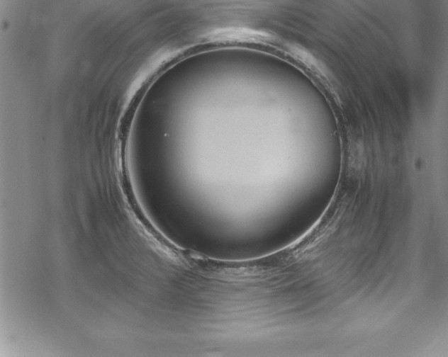 X0000069391376200605150932