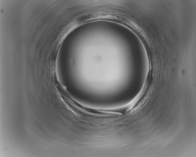 X0000069391377200605150932