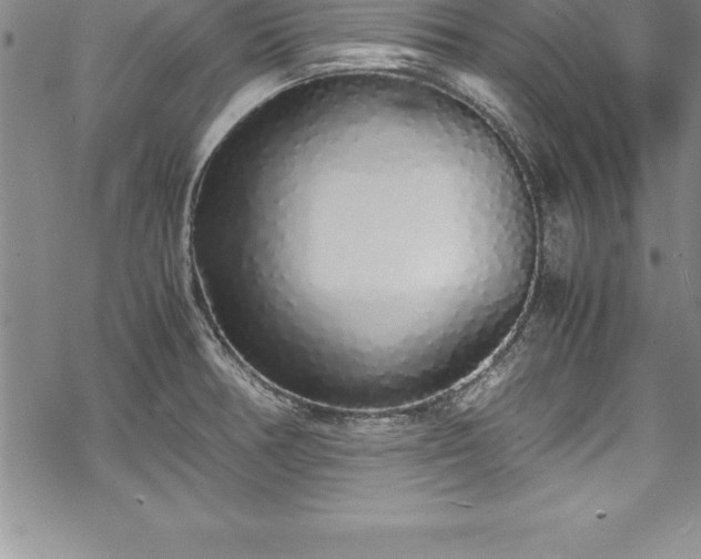 X0000069391378200605150932