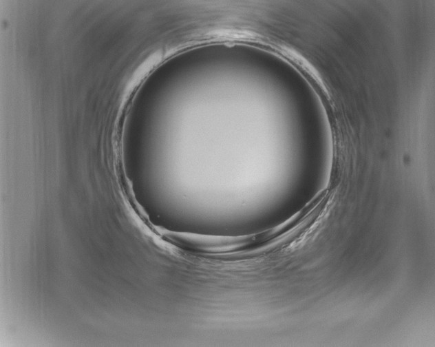 X0000069391381200605150932