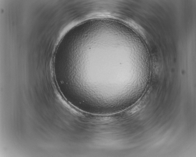 X0000069391382200605150932