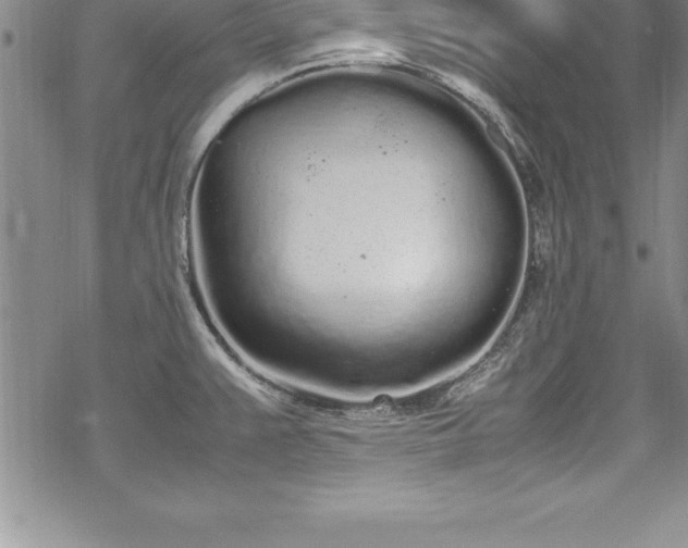 X0000069391383200605150932