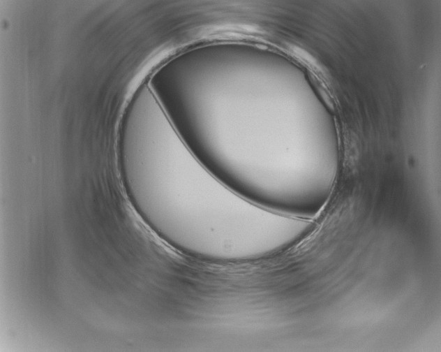 X0000069391384200605150932