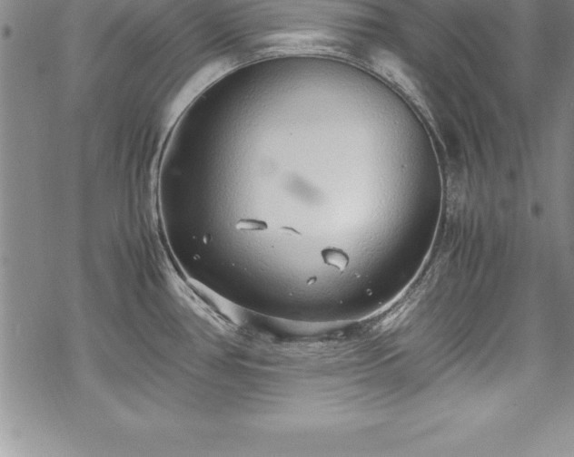 X0000069391386200605150932