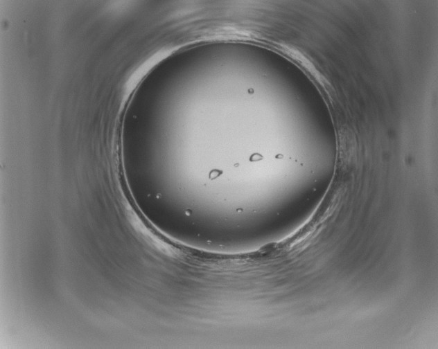 X0000069391387200605150932