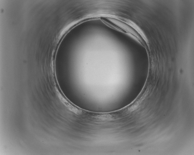 X0000069391388200605150932