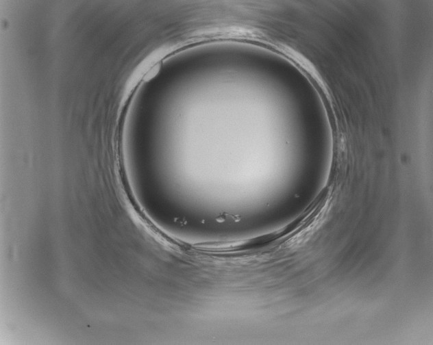 X0000069391389200605150932