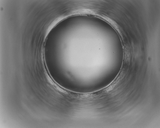 X0000069391390200605150932