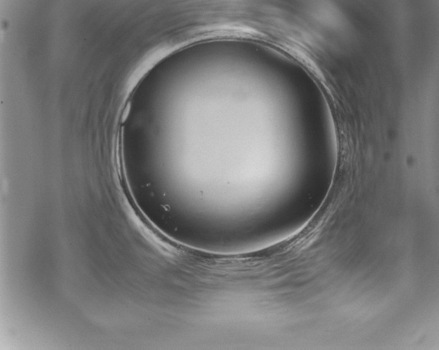 X0000069391391200605150932