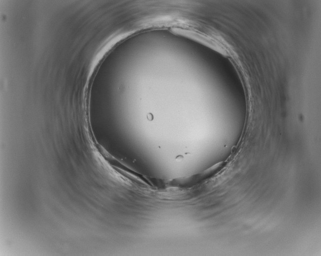 X0000069391392200605150932