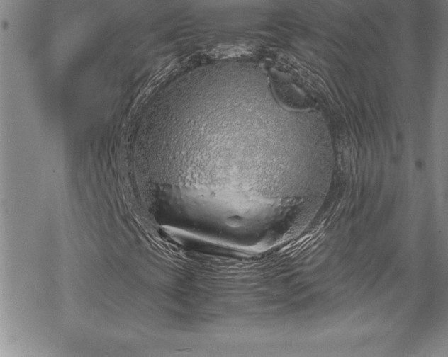 X0000069391393200605150931