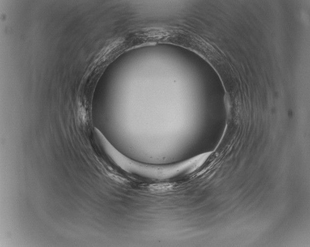 X0000069391394200605150931