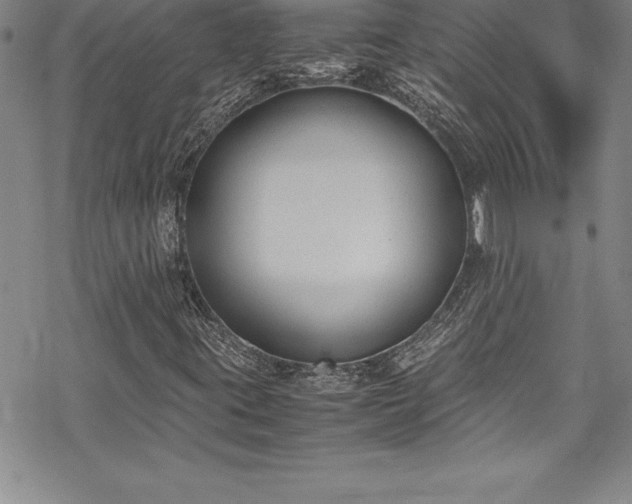 X0000069391395200605150931