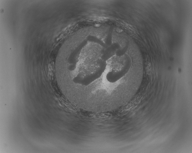 X0000069391397200605150931