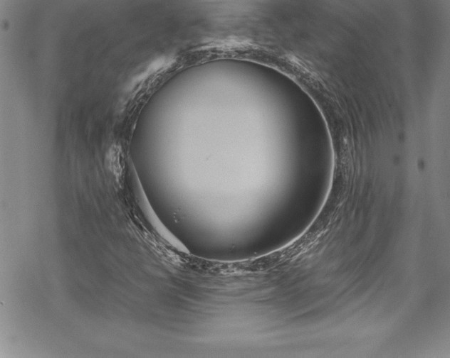 X0000069391398200605150931