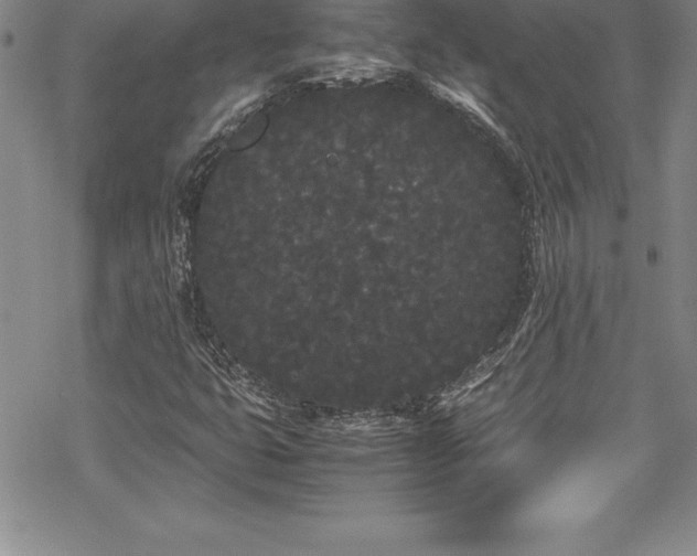 X0000069391399200605150931