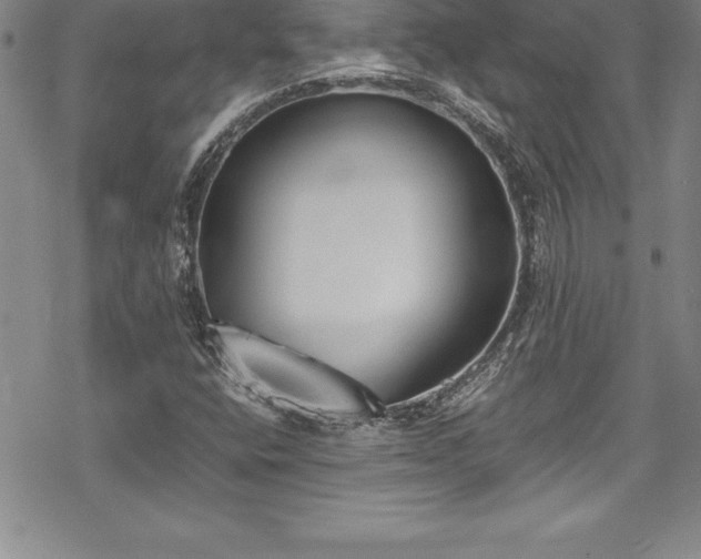 X0000069391400200605150931