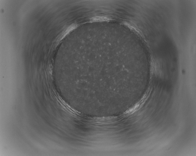 X0000069391401200605150931