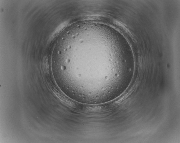 X0000069391403200605150931